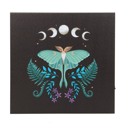 Luna Moth Light Up Canvas Plaque